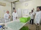 بازدید از زنجیره تولید نهال گواهی شده لیبل آبی واحد اردستان