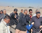 دوره مدیریت درختان پسته