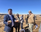 تولید بذرمادری پیاز رقم والنسیانا لئون در ایستگاه وردشت سمیرم