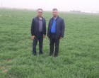کشت پائیزه و بهاره جو