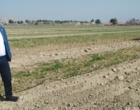 بازدید رئیس مرکز اصفهان از روند مبارزه با علف های هرز مزارع بذری غلات