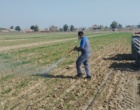 بازدید رئیس مرکز اصفهان از روند مبارزه با علف های هرز مزارع بذری غلات