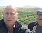 سرکشی به کشت های کلزا در ایستگاه کبوتر آباد