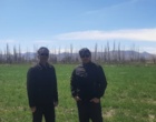 کنترل شیمیایی و مکانیکی علفهای هر