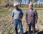 سهولت توسعه کشت موسیر در کشور