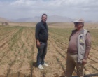 کلکسیون انارهای ایرانی