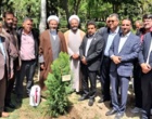 پویش ملی سرو ایران و کاشت نهال امید