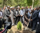 پویش ملی سرو ایران و کاشت نهال امید