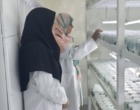 نظارت بر تولید نهال سالم و گواهی شده