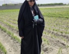بازدید از نهالستان های اصفهان