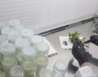 بازدید کارشناسان مرکز تحقیقات اصفهان از شرکت ریز فن آوری طوبی مهرگان