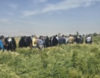برگزاری روز ملی غلات و انتقال یافته ها در ایستگاه تحقیقاتی کبوترآباد مرکز تحقیقات و آموزش کشاورزی و منابع طبیعی استان اصفهان