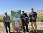برگزاری روز مزرعه در مجموعه تحقیقاتی فکا با مشارکت مرکز تحقیقات و آموزش کشاورزی و منابع طبیعی استان اصفهان