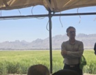 برگزاری روز مزرعه در مجموعه تحقیقاتی فکا با مشارکت مرکز تحقیقات و آموزش کشاورزی و منابع طبیعی استان اصفهان
