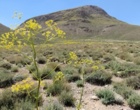 تقدیر از مرتع داران نمونه ی استان اصفهان