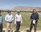 بازدید از ایستگاه تحقیقاتی دامپروری و کشاورزی گلپایگان