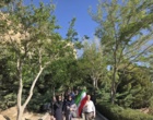 کوه گشت صفه