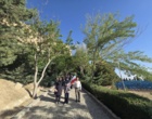 کوه گشت صفه