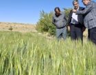 الگوسازی مرکز تحقیقات اصفهان در جهت توسعه کشاورزی دانش بنیان