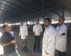بازدید از گاوداری فوده
