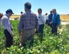 کارگاه آموزشی کشت پنبه