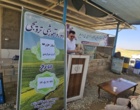 روز مزرعه ارزن مرواریدی شهرستان شهرضا