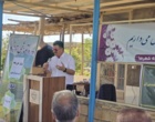 روز مزرعه ارزن مرواریدی شهرستان شهرضا