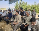 روز مزرعه ارزن مرواریدی شهرستان شهرضا