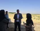 روز مزرعه ارزن مرواریدی شهرستان شهرضا