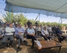 روز مزرعه ارزن مرواریدی شهرستان شهرضا