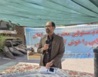گزارش تصویری _ یازدهمین کاروان ترویج بهره وری ویژه الگوی کشت ملی شهرستان مبارکه ، استان اصفهان