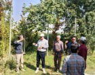 برنامه ریزی کشت پاییزه ایستگاه گلپایگان
