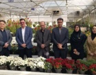 بازدید از بازار گل و گیاه مرکزی سپاهان اصفهان توسط رئیس و معاون آموزشی مرکز تحقیقات اصفهان