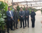 بازدید از بازار گل و گیاه مرکزی سپاهان اصفهان توسط رئیس و معاون آموزشی مرکز تحقیقات اصفهان