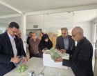 بازدید رئیس و معاون موسسه تحقیقات گیاهپزشکی کشور از بخش تحقیقات گیاهپزشکی مرکز تحقیقات اصفهان