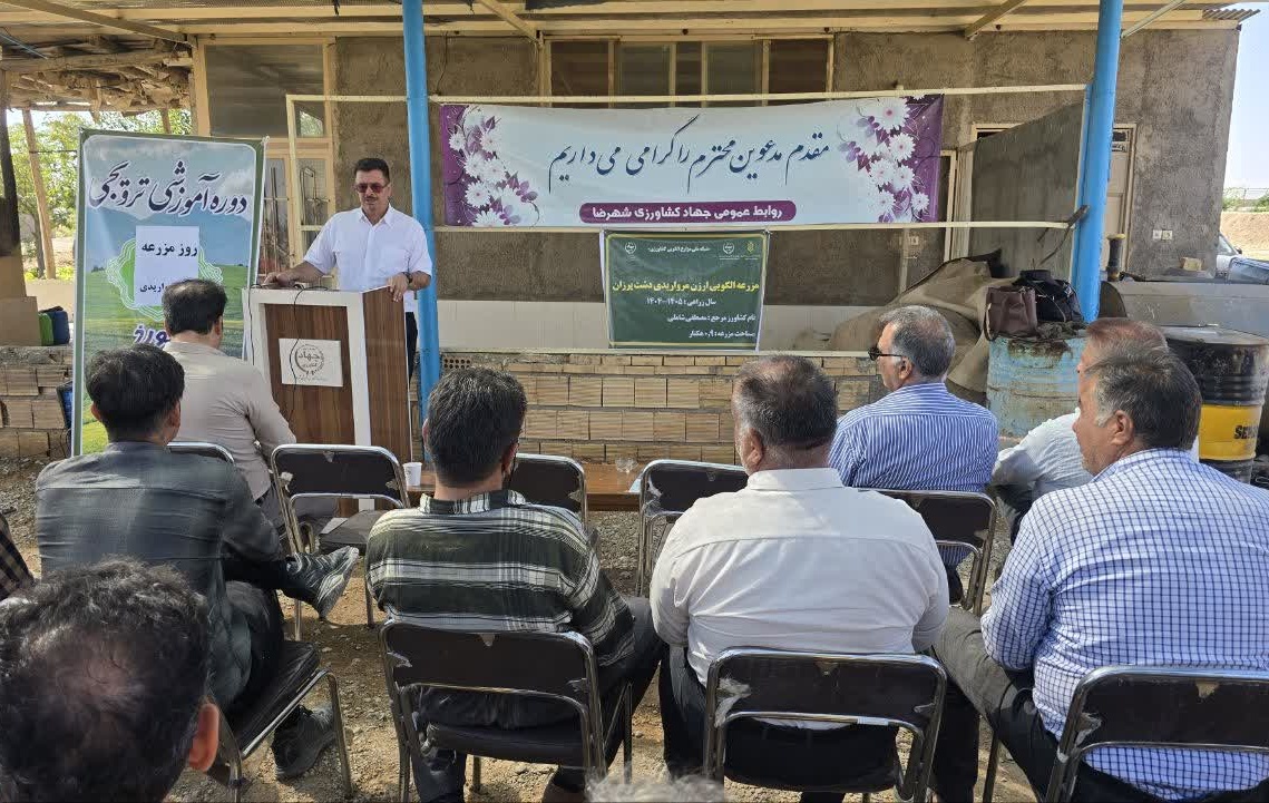 روز مزرعه ارزن مرواریدی شهرستان شهرضا
