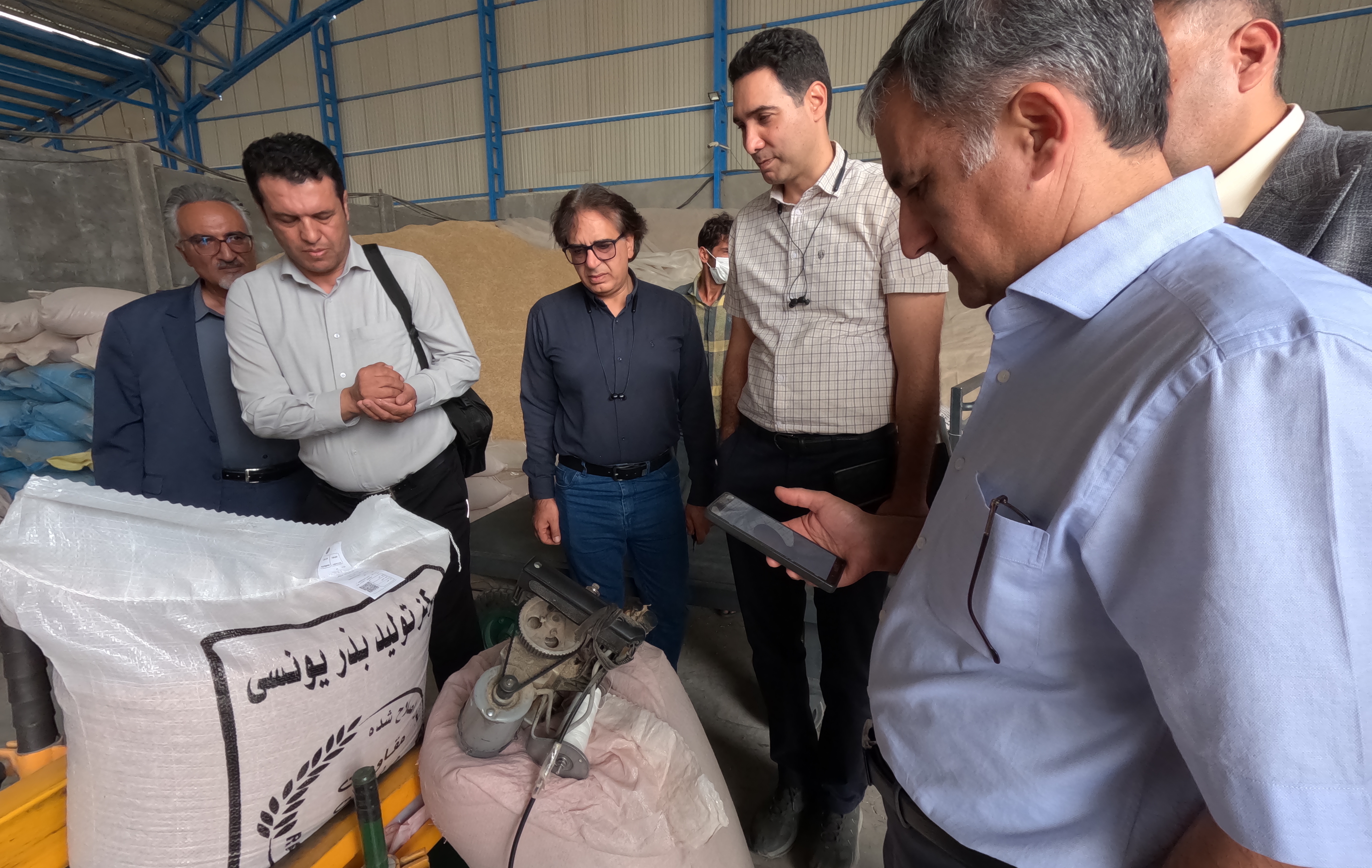 تولید بذر جو مناسب مالت در شهرضا؛ ظرفیتی برای توسعه