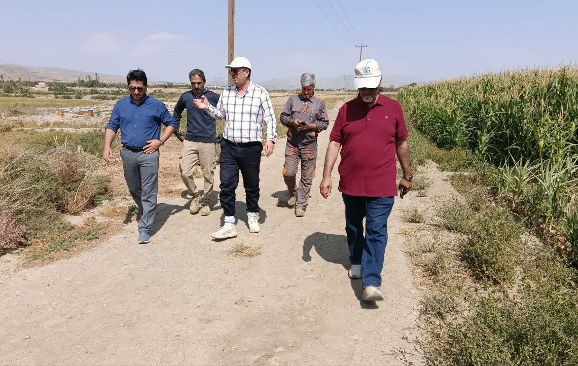 برنامه ریزی کشت پاییزه ایستگاه گلپایگان