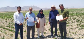 کارگاه آموزشی کشت چغندرقند متناسب با شرایط تغییر اقلیم در براآن جنوبی اصفهان