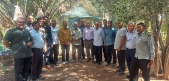 کارگاه آموزشی تغذیه باغات خرما پس از برداشت
