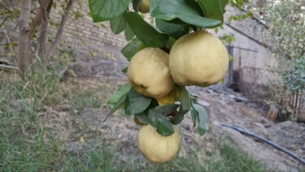 کلیپ آموزشی