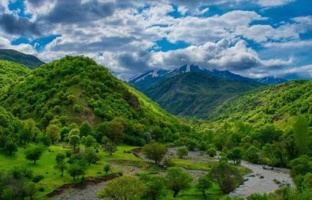 تولید نهال‌های بومی با رویکرد اقتصادی و همکاری‌های پژوهشی در راستای احیای منابع طبیعی