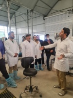 دوره آموزشی تولید نهال گواهیشده در اصفهان