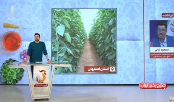 ماموریت ذاتی سازمان تات در راستای تامین هسته اولیه بذری