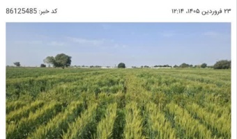 با مدیریت به موقع می توان خطر زنگ زرد را به حداقل رساند