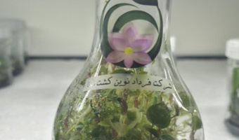نظارت فعال بر مجموعه های کشت بافت استان اصفهان