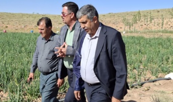 الگوسازی مرکز تحقیقات اصفهان؛ گامی مؤثر در توسعه کشاورزی دانش‌بنیان