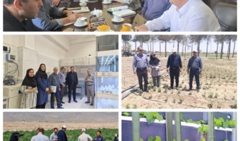 بازدید از طرح ها و مزارع پنبه اصفهان