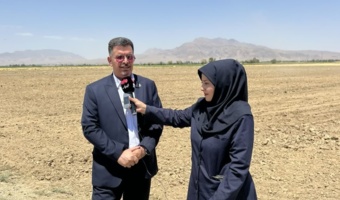 اولین مزرعه تولید پیاز گواهی شده زعفران در کشور