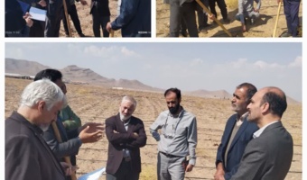 توسعه کشت گیاهان دارویی با محوریت «آنغوزه» در اصفهان